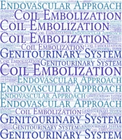 Multidiscip Cardio Annal