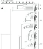 Jundishapur J Microbiol