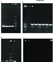 Jundishapur J Microbiol