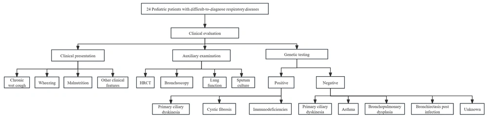 A comprehensive flow diagram of diagnostic approach for 24 pediatric patients with difficult-to-diagnose respiratory diseases A comprehensive flow diagram of diagnostic approach for 24 pediatric patients with difficult-to-diagnose respiratory diseases