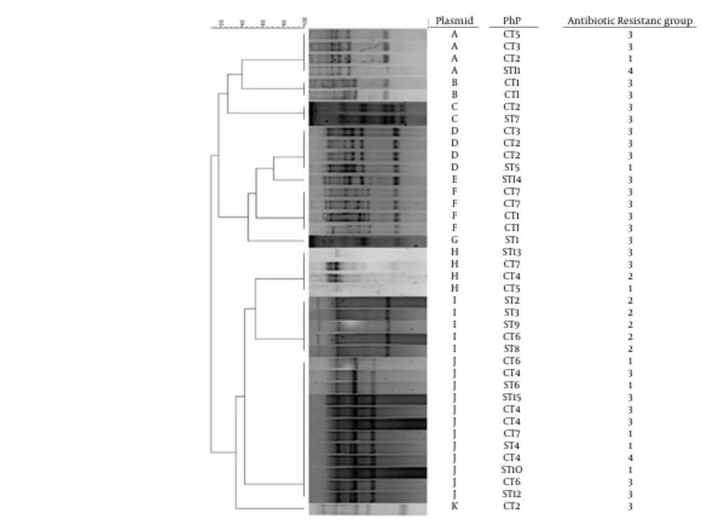 A UPGMA Dendrogram of 40 vancomycin Resistant <i>E. faecium </i>Strains Plasmid Profile UPGMA: Unweighted Pair Group Method with Arithmetic Mean