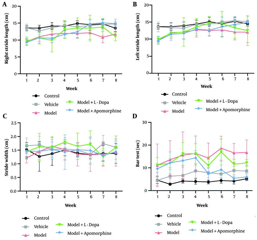 The right stride length (A), the left stride length (B), the stride width (C), and the bar test (D) in various groups over the course of eight weeks (four weeks pretreatment and four weeks post-treatment); all significant differences between the various groups at all time points are presented in tables 1 - 3 (in Supplementary File) in the supporting information. No significant differences in stride width were observed among the groups at any time point (all data are presented as mean ± standard deviation; n = six animals in each group). The right stride length (A), the left stride length (B), the stride width (C), and the bar test (D) in various groups over the course of eight weeks (four weeks pretreatment and four weeks post-treatment); all significant differences between the various groups at all time points are presented in tables 1 - 3 (in Supplementary File) in the supporting information. No significant differences in stride width were observed among the groups at any time point (all data are presented as mean ± standard deviation; n = six animals in each group).