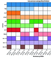 Jundishapur J Microbiol