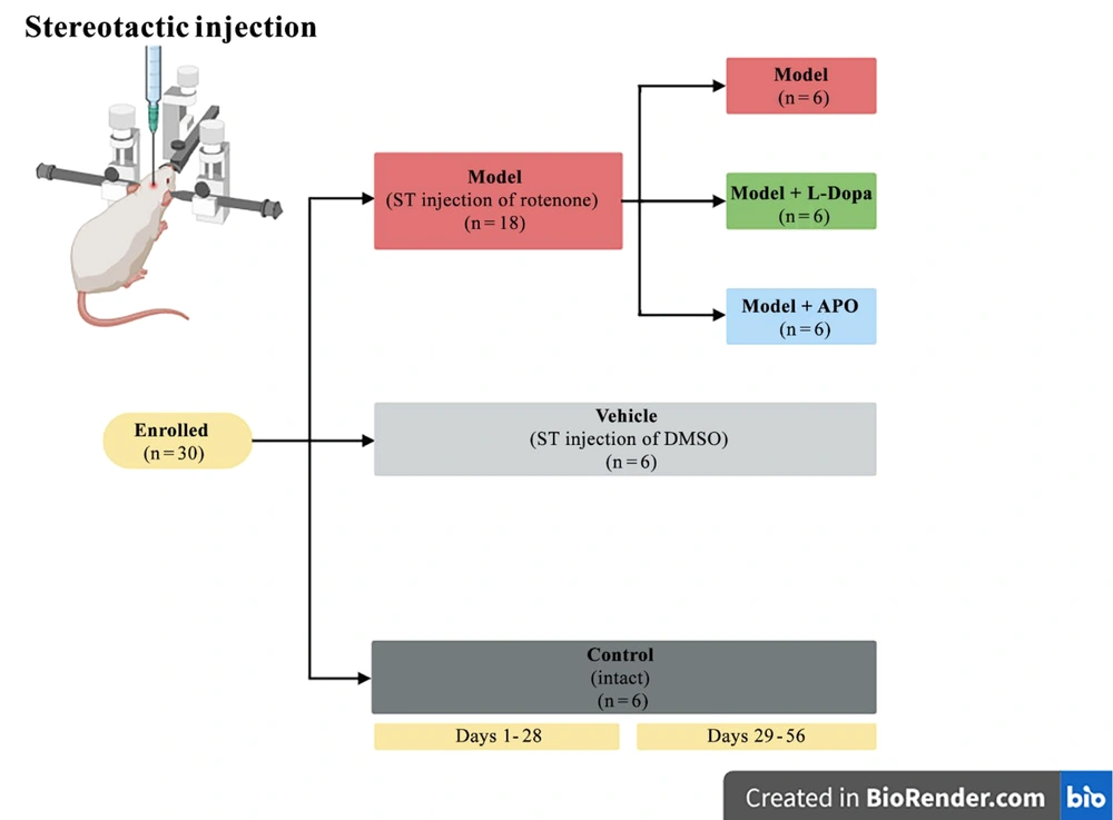 CONSORT table: Study design CONSORT table: Study design