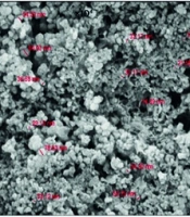 Jundishapur J Nat Pharm Prod