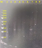 Arch Clin Infect Dis