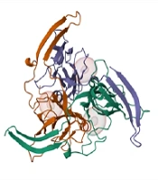 Jundishapur J Microbiol