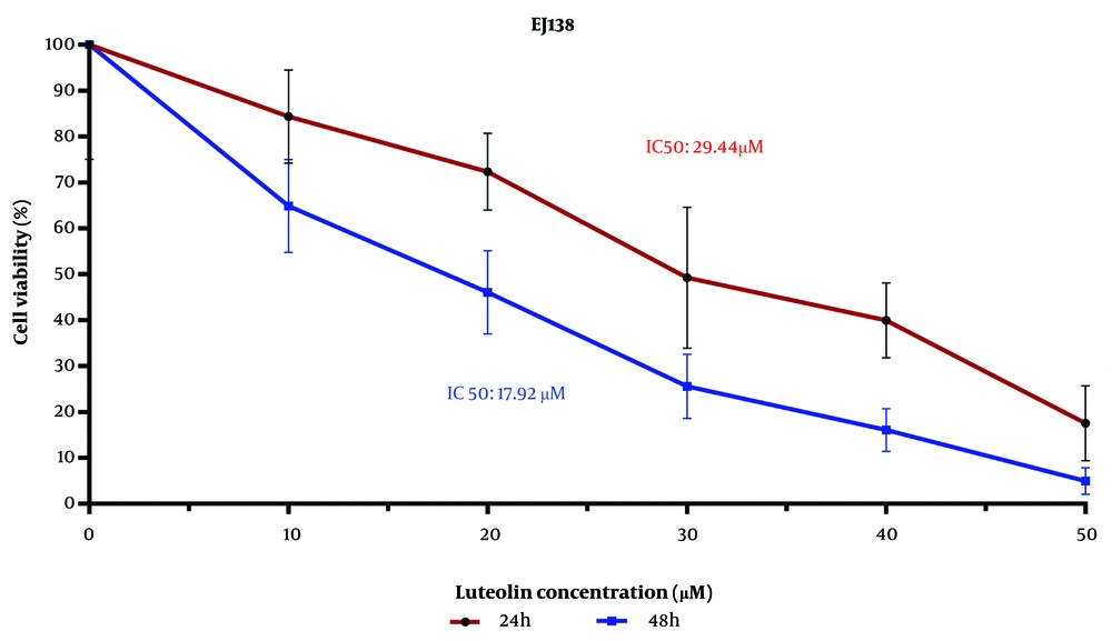 Luteolin treatment raises significant cell death in bladder cancer (BC) cells. Cell viability analysis of EJ138 bladder cancerous cells, utilizing a time- and dose-dependent examination by MTT, was performed for 24 h and 48 h. EJ138 BC cells were treated with 10 - 50 µM luteolin. Luteolin treatment raises significant cell death in bladder cancer (BC) cells. Cell viability analysis of EJ138 bladder cancerous cells, utilizing a time- and dose-dependent examination by MTT, was performed for 24 h and 48 h. EJ138 BC cells were treated with 10 - 50 µM luteolin.