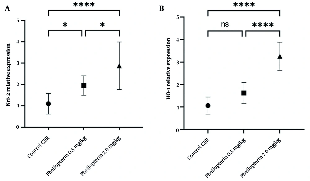 Effects of phellopterin on A, Nrf2 and B, HO-1 expression in cerebral I/R injury; The expression levels of Nrf2 and HO-1 were increased after phellopterin treatment, especially at the dose of 2 mg/kg, compared with the control group. Each group included n = 10 rats. Data are expressed as mean ± standard deviation. Statistical significance is indicated as **** P < 0.0001 and * P < 0.05 (Abbreviations: CI/R, cerebral ischemia/reperfusion; Nrf2, nuclear factor erythroid 2-related factor 2; HO-1, heme oxygenase-1). Effects of phellopterin on A, Nrf2 and B, HO-1 expression in cerebral I/R injury; The expression levels of Nrf2 and HO-1 were increased after phellopterin treatment, especially at the dose of 2 mg/kg, compared with the control group. Each group included n = 10 rats. Data are expressed as mean ± standard deviation. Statistical significance is indicated as **** P < 0.0001 and * P < 0.05 (Abbreviations: CI/R, cerebral ischemia/reperfusion; Nrf2, nuclear factor erythroid 2-related factor 2; HO-1, heme oxygenase-1).