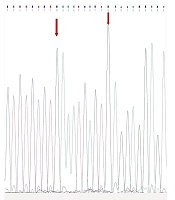 J Adv Immunopharmacol