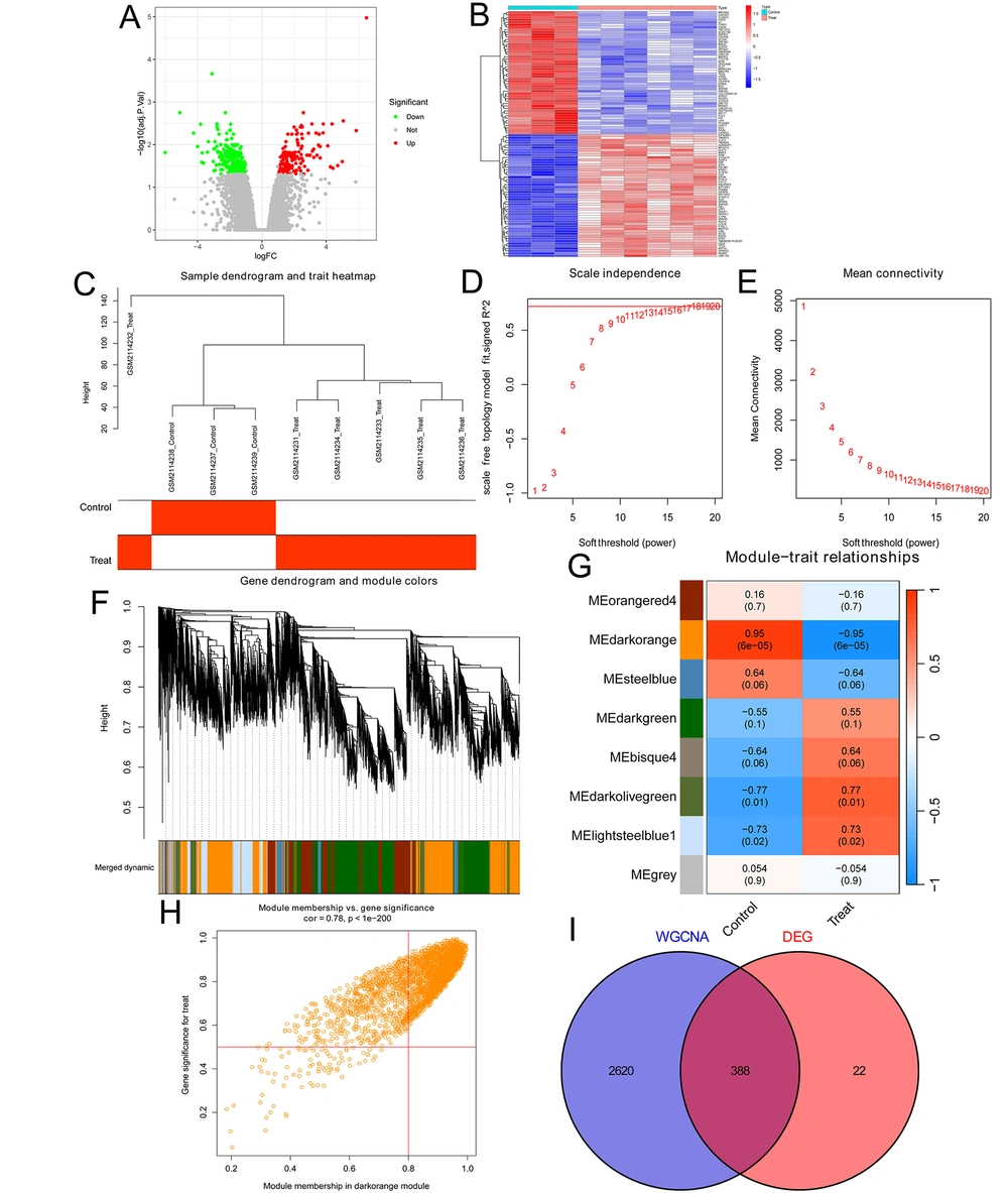 Identification of key genes in diabetic foot ulcers (DFUs): A, the volcano plot showed all DEGs with over a 2.0-fold change between 3 diabetic foot skin (DFS) tissues and 6 DFU tissues in the GSE80178 DFU datasets. 142 upregulated genes are marked in red, and 268 downregulated genes are marked in green; B, the cluster heat map showed the expression of the top 50 and bottom 50 DEGs; C, the sample clustering tree of 3 DFS tissues and 6 DFU tissues; D, analysis of the Scale-Free Index for various soft-threshold powers; E, analysis of the mean connectivity for various soft-threshold powers; F, dendrogram of genes clustered based on the measurement of dissimilarity. The color band shows the results of identifying modules and merging similar modules; G, heatmap of the correlation between the module eigengenes and DFUs; H, analysis of gene significance for DFUs and module membership in the dark orange module; I, Venn diagram showing the intersection of the DEGs in the DFUs and the DFU-associated genes in the dark orange module. Identification of key genes in diabetic foot ulcers (DFUs): A, the volcano plot showed all DEGs with over a 2.0-fold change between 3 diabetic foot skin (DFS) tissues and 6 DFU tissues in the GSE80178 DFU datasets. 142 upregulated genes are marked in red, and 268 downregulated genes are marked in green; B, the cluster heat map showed the expression of the top 50 and bottom 50 DEGs; C, the sample clustering tree of 3 DFS tissues and 6 DFU tissues; D, analysis of the Scale-Free Index for various soft-threshold powers; E, analysis of the mean connectivity for various soft-threshold powers; F, dendrogram of genes clustered based on the measurement of dissimilarity. The color band shows the results of identifying modules and merging similar modules; G, heatmap of the correlation between the module eigengenes and DFUs; H, analysis of gene significance for DFUs and module membership in the dark orange module; I, Venn diagram showing the intersection of the DEGs in the DFUs and the DFU-associated genes in the dark orange module.