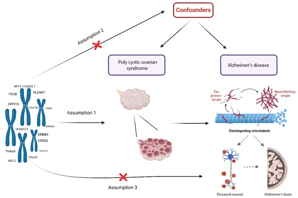 The framework of Mendelian randomization (MR) analysis relies on several critical assumptions: A, the genetic variations must have a strong association with polycystic ovary syndrome (PCOS); B, the genetic variations should not be linked to any known or unknown confounders; and C, the single nucleotide polymorphisms (SNPs) must influence the risk of AD solely through their effect on PCOS, without involvement in alternative pathways. The framework of Mendelian randomization (MR) analysis relies on several critical assumptions: A, the genetic variations must have a strong association with polycystic ovary syndrome (PCOS); B, the genetic variations should not be linked to any known or unknown confounders; and C, the single nucleotide polymorphisms (SNPs) must influence the risk of AD solely through their effect on PCOS, without involvement in alternative pathways.