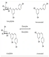 Jundishapur J Nat Pharm Prod