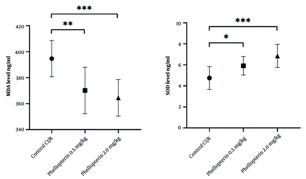 Antioxidant effects of phellopterin on oxidative stress markers following CI/R injury; The impact of phellopterin on markers of oxidative stress by determining the levels of MDA (ng/mL) and activity of SOD (ng/mL) in rats throughout CI/R injury. Compared to the control group, phellopterin-treated groups (0.5 mg/kg and 2 mg/kg) showed marked reductions in MDA levels and significantly higher SOD activity. Each group consisted of n = 10 rats. The data is presented as the mean ± standard deviation. Statistical analysis was performed using one-way ANOVA followed by Tukey’s post hoc test. Statistical significance is indicated as *** P < 0.001, ** P < 0.01, and * P < 0.05 (Abbreviations: CI/R, cerebral ischemia/reperfusion; MDA, malondialdehyde; SOD, superoxide dismutase). Antioxidant effects of phellopterin on oxidative stress markers following CI/R injury; The impact of phellopterin on markers of oxidative stress by determining the levels of MDA (ng/mL) and activity of SOD (ng/mL) in rats throughout CI/R injury. Compared to the control group, phellopterin-treated groups (0.5 mg/kg and 2 mg/kg) showed marked reductions in MDA levels and significantly higher SOD activity. Each group consisted of n = 10 rats. The data is presented as the mean ± standard deviation. Statistical analysis was performed using one-way ANOVA followed by Tukey’s post hoc test. Statistical significance is indicated as *** P < 0.001, ** P < 0.01, and * P < 0.05 (Abbreviations: CI/R, cerebral ischemia/reperfusion; MDA, malondialdehyde; SOD, superoxide dismutase).