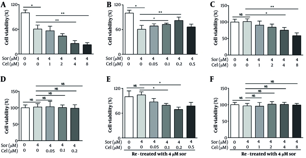 Bidirectional modulation of sorafenib-induced HepG2 cell inhibition by celastrol at varied concentrations. A, tumor cells were exposed to sorafenib alone or in combination with various high concentrations of celastrol (1, 2, 4, or 8 μmol/L) for 72 h before being subjected to MTT assay. At concentrations greater than 2 μmol/L, celastrol enhanced the sorafenib-induced cytotoxicity to hepatocellular carcinoma (HCC) cells; B, tumor cells were exposed to sorafenib alone or in combination with low concentrations of celastrol (0.05, 0.1, 0.2, or 0.5 μmol/L) for 72 h before being subjected to MTT assay. Celastrol dose-dependently inhibited the sorafenib-induced cytotoxicity to HCC cells; C, LO<sub>2</sub> cells were exposed to sorafenib alone or in combination with high concentrations of celastrol (1, 2, 4, or 8 μmol/L) for 72 h before being subjected to MTT assay. At concentrations greater than 4 μmol/L, celastrol enhanced the cytotoxicity induced by sorafenib toward LO<sub>2</sub> cells; D, LO<sub>2</sub> cells were exposed to sorafenib alone or in combination with low concentrations of celastrol (0.05, 0.1, or 0.2 μmol/L) for 72 h before being subjected to MTT assay. Sorafenib was not cytotoxic when administered alone as in combination with celastrol; E, tumor cells were pretreated with 0.4 μm sorafenib for 48 h, washed twice, and retreated with 0.4 μm sorafenib for another 48 h; F, tumor cells were pretreated with 0.4 μm sorafenib and celastrol (0.2 or 8 μm) for 48 h, washed twice, and retreated with 0.4 μm sorafenib for another 48 h. MTT assays were tested to evaluate the cytotoxic effects in HepG2 cells (Abbreviations: Sor, sorafenib; cel, celastrol; NS, not significant. *P < 0.05, **P < 0.01). Bidirectional modulation of sorafenib-induced HepG2 cell inhibition by celastrol at varied concentrations. A, tumor cells were exposed to sorafenib alone or in combination with various high concentrations of celastrol (1, 2, 4, or 8 μmol/L) for 72 h before being subjected to MTT assay. At concentrations greater than 2 μmol/L, celastrol enhanced the sorafenib-induced cytotoxicity to hepatocellular carcinoma (HCC) cells; B, tumor cells were exposed to sorafenib alone or in combination with low concentrations of celastrol (0.05, 0.1, 0.2, or 0.5 μmol/L) for 72 h before being subjected to MTT assay. Celastrol dose-dependently inhibited the sorafenib-induced cytotoxicity to HCC cells; C, LO<sub>2</sub> cells were exposed to sorafenib alone or in combination with high concentrations of celastrol (1, 2, 4, or 8 μmol/L) for 72 h before being subjected to MTT assay. At concentrations greater than 4 μmol/L, celastrol enhanced the cytotoxicity induced by sorafenib toward LO<sub>2</sub> cells; D, LO<sub>2</sub> cells were exposed to sorafenib alone or in combination with low concentrations of celastrol (0.05, 0.1, or 0.2 μmol/L) for 72 h before being subjected to MTT assay. Sorafenib was not cytotoxic when administered alone as in combination with celastrol; E, tumor cells were pretreated with 0.4 μm sorafenib for 48 h, washed twice, and retreated with 0.4 μm sorafenib for another 48 h; F, tumor cells were pretreated with 0.4 μm sorafenib and celastrol (0.2 or 8 μm) for 48 h, washed twice, and retreated with 0.4 μm sorafenib for another 48 h. MTT assays were tested to evaluate the cytotoxic effects in HepG2 cells (Abbreviations: Sor, sorafenib; cel, celastrol; NS, not significant. *P < 0.05, **P < 0.01).