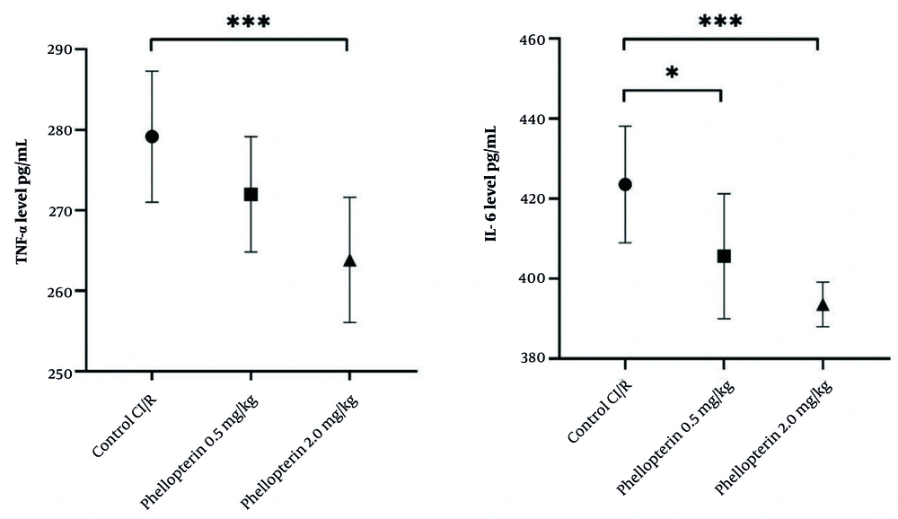 Anti-inflammatory effects of phellopterin on cerebral I/R injury; The effects of phellopterin on pro-inflammatory cytokines, TNF-α (pg/mL), and IL-6 (pg/mL) in rats after CI/R injury. Phellopterin treatment at both 0.5 mg/kg as well as 2 mg/kg significantly reduced the release of TNF-α and IL-6, with the 2 mg/kg dose providing greater reduction in inflammatory cytokines. Each group included n = 10 rats. Data are expressed as mean ± standard deviation. Statistical analysis was conducted using one-way ANOVA followed by Tukey’s multiple comparisons test. Statistical significance is indicated as *** P < 0.001 and * P < 0.05 (Abbreviations: CI/R, cerebral ischemia/reperfusion; TNF-α, tumor necrosis factor-alpha; IL-6, interleukin-6). Anti-inflammatory effects of phellopterin on cerebral I/R injury; The effects of phellopterin on pro-inflammatory cytokines, TNF-α (pg/mL), and IL-6 (pg/mL) in rats after CI/R injury. Phellopterin treatment at both 0.5 mg/kg as well as 2 mg/kg significantly reduced the release of TNF-α and IL-6, with the 2 mg/kg dose providing greater reduction in inflammatory cytokines. Each group included n = 10 rats. Data are expressed as mean ± standard deviation. Statistical analysis was conducted using one-way ANOVA followed by Tukey’s multiple comparisons test. Statistical significance is indicated as *** P < 0.001 and * P < 0.05 (Abbreviations: CI/R, cerebral ischemia/reperfusion; TNF-α, tumor necrosis factor-alpha; IL-6, interleukin-6).