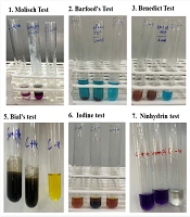 Jundishapur J Nat Pharm Prod