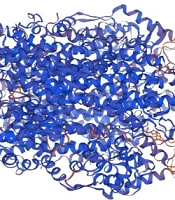 Zahedan J Res Med Sci