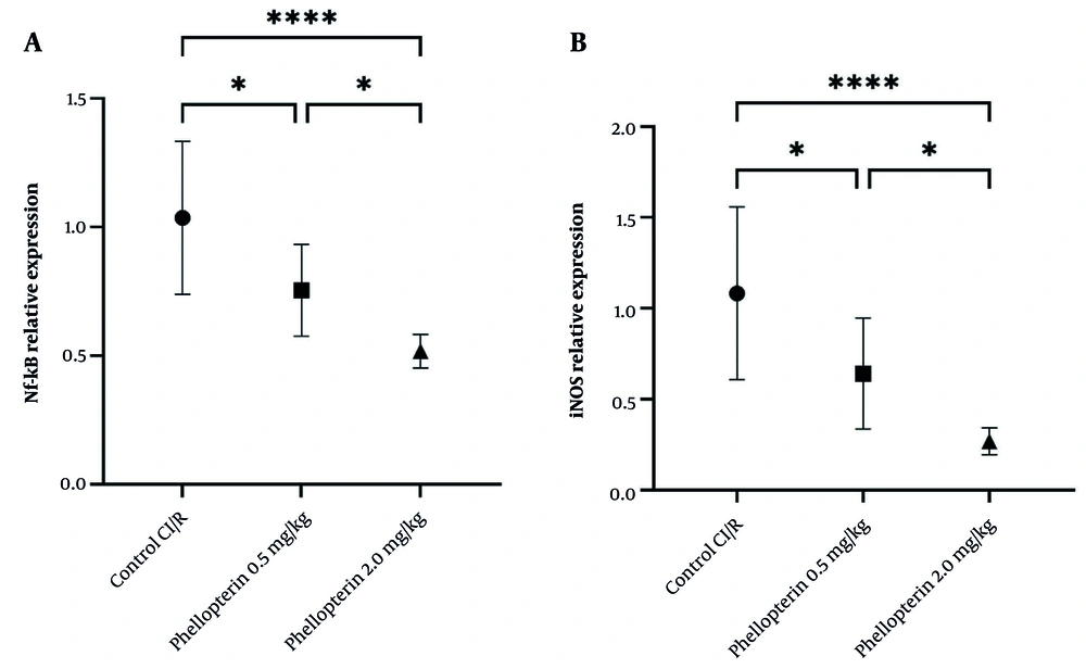 Effects of phellopterin on A, NF-κB and B, iNOS expression in cerebral I/R injury; The expression levels of Nf-κB and iNOS were decreased after phellopterin treatment, especially at the dose of 2 mg/kg, compared with the control group. Each group included n = 10 rats. Data are expressed as mean ± standard deviation. Statistical significance is indicated as **** P < 0.0001 and * P < 0.05 (Abbreviations: CI/R, cerebral ischemia/reperfusion; NF-κB, nuclear factor-kappa B; iNOS, inducible nitric oxide synthase). Effects of phellopterin on A, NF-κB and B, iNOS expression in cerebral I/R injury; The expression levels of Nf-κB and iNOS were decreased after phellopterin treatment, especially at the dose of 2 mg/kg, compared with the control group. Each group included n = 10 rats. Data are expressed as mean ± standard deviation. Statistical significance is indicated as **** P < 0.0001 and * P < 0.05 (Abbreviations: CI/R, cerebral ischemia/reperfusion; NF-κB, nuclear factor-kappa B; iNOS, inducible nitric oxide synthase).