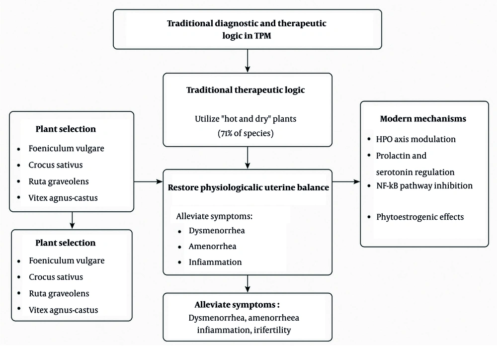 Conceptual illustration of the relationship between traditional Persian temperament theory and modern physiological interpretations of uterine disorders Conceptual illustration of the relationship between traditional Persian temperament theory and modern physiological interpretations of uterine disorders