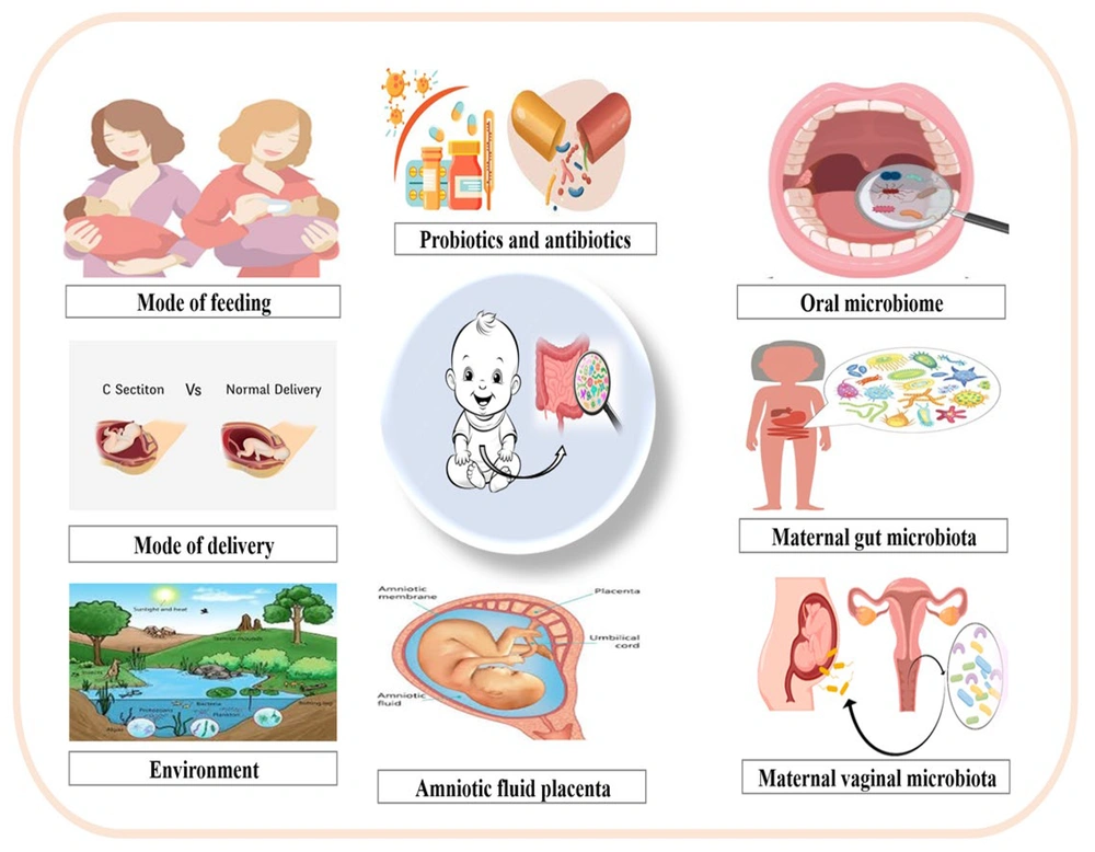 Key determinants of early microbial colonization include maternal gut and vaginal microbiota, oral microbiome, amniotic fluid, placenta, mode of delivery, feeding, probiotics and antibiotics, and the environment. Key determinants of early microbial colonization include maternal gut and vaginal microbiota, oral microbiome, amniotic fluid, placenta, mode of delivery, feeding, probiotics and antibiotics, and the environment.