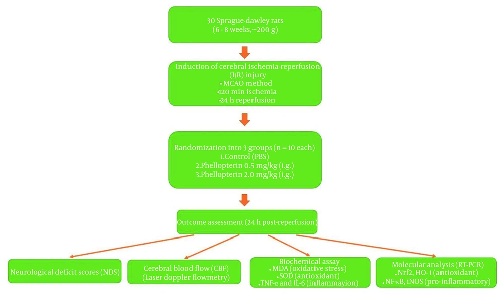 Flowchart of experimental design Flowchart of experimental design