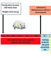 Jentashapir J Cell Mol Biol