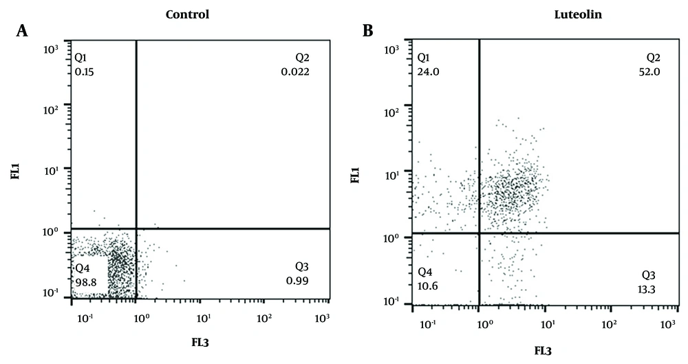 Flow cytometry was conducted to analyze the impacts of luteolin on the apoptosis of EJ138 bladder cancer (BC) cells after 48 h treatment with luteolin. Q1: Necrotic cells, Q2 and Q3: Apoptotic cells, Q4: Live cells. Flow cytometry was conducted to analyze the impacts of luteolin on the apoptosis of EJ138 bladder cancer (BC) cells after 48 h treatment with luteolin. Q1: Necrotic cells, Q2 and Q3: Apoptotic cells, Q4: Live cells.