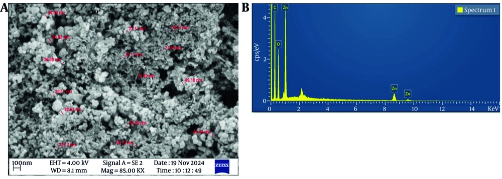 A, scanning electron microscopy (SEM) image of biosynthesized zinc oxide nanoparticles (ZnO NPs) using rosemary (<i>Salvia rosmarinus</i>) extract; B, energy-dispersive X-ray spectroscopy (EDX) spectrum of ZnO NPs. A, scanning electron microscopy (SEM) image of biosynthesized zinc oxide nanoparticles (ZnO NPs) using rosemary (<i>Salvia rosmarinus</i>) extract; B, energy-dispersive X-ray spectroscopy (EDX) spectrum of ZnO NPs.