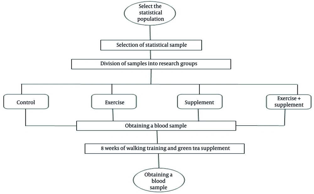 The flowchart of the research plan The flowchart of the research plan