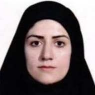 Fatemeh Elham Mahjoub