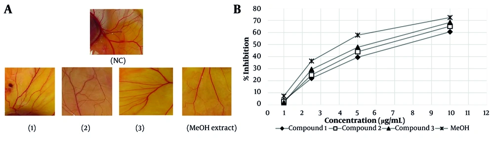 A, anti-angiogenesis activities of isolated compounds (1-3) and the MeOH extract of <i>Allium colchicifolium</i> bulbs on the chorioallantoic membrane (CAM) model of angiogenesis at 10 µg/mL; B, percentage of neovascular inhibition of isolated compounds (1-3) and the MeOH extract from <i>A. colchicifolium</i> bulbs (abbreviation: NC, negative control). A, anti-angiogenesis activities of isolated compounds (1-3) and the MeOH extract of <i>Allium colchicifolium</i> bulbs on the chorioallantoic membrane (CAM) model of angiogenesis at 10 µg/mL; B, percentage of neovascular inhibition of isolated compounds (1-3) and the MeOH extract from <i>A. colchicifolium</i> bulbs (abbreviation: NC, negative control).