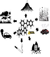 Jundishapur J Chronic Dis Care