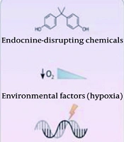 Jentashapir J Cell Mol Biol