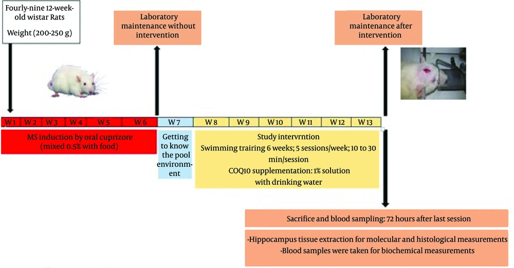 Study design Study design