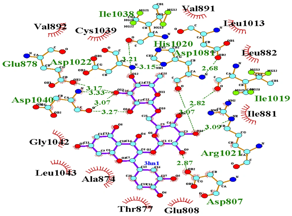 2D Interaction of compound 1 with vascular endothelial growth factor (VEGF)-R1: Compound 1 formed hydrogen bonds with Asp1040 (3.27, 3.07, and 3.33 Å), Glu878 (3.17 Å), and Ile1038 (3.21 Å) and hydrophobically interacted with Leu882 and Cys1039. 2D Interaction of compound 1 with vascular endothelial growth factor (VEGF)-R1: Compound 1 formed hydrogen bonds with Asp1040 (3.27, 3.07, and 3.33 Å), Glu878 (3.17 Å), and Ile1038 (3.21 Å) and hydrophobically interacted with Leu882 and Cys1039.