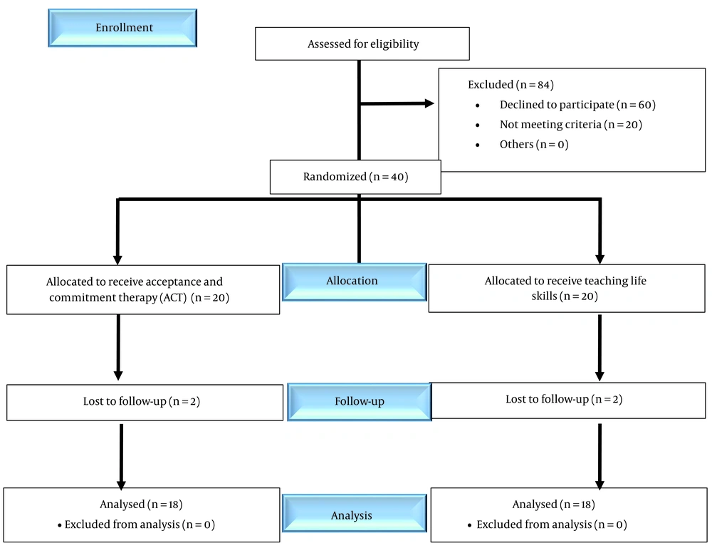 CONSORT flow chart of study participants CONSORT flow chart of study participants