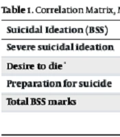 Int J High Risk Behav Addict