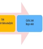 Int J High Risk Behav Addict