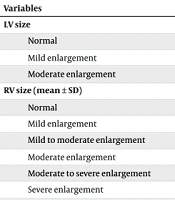 Int Cardiovasc Res J