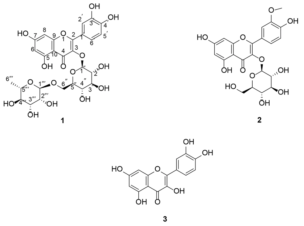 Chemical structure of flavonoids isolated from <i>Allium colchicifolium</i> bulbs Chemical structure of flavonoids isolated from <i>Allium colchicifolium</i> bulbs