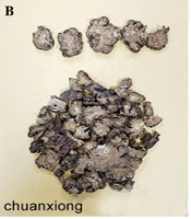 Jundishapur J Nat Pharm Prod