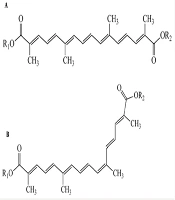 Jentashapir J Cell Mol Biol
