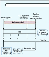 Int J Endocrinol Metab