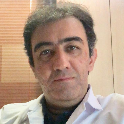 Seyed Amir Hossein Javadi