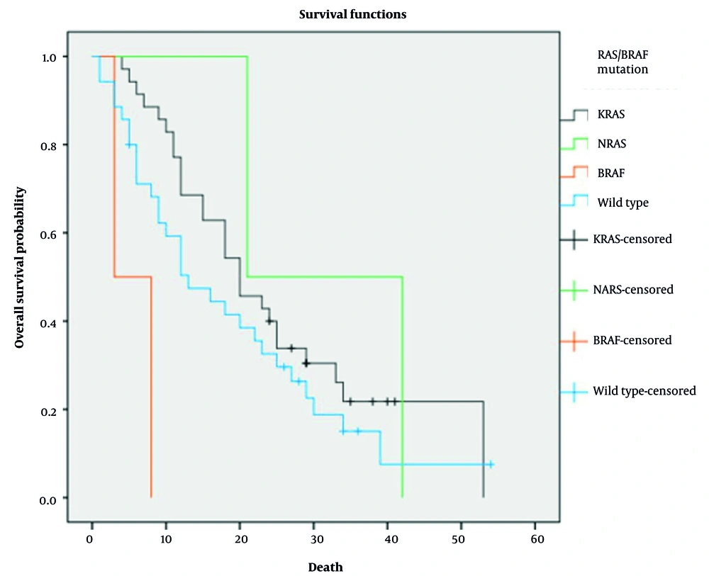 Overall survival (OS) of patients with different subtypes of RAS/BRAFV600E mutation Overall survival (OS) of patients with different subtypes of RAS/BRAFV600E mutation