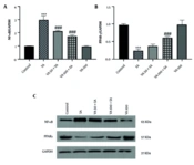 Jundishapur J Nat Pharm Prod