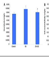 Jentashapir J Cell Mol Biol