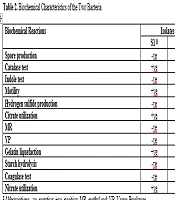 J Kermanshah Univ Med Sci