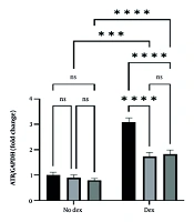 Jentashapir J Cell Mol Biol